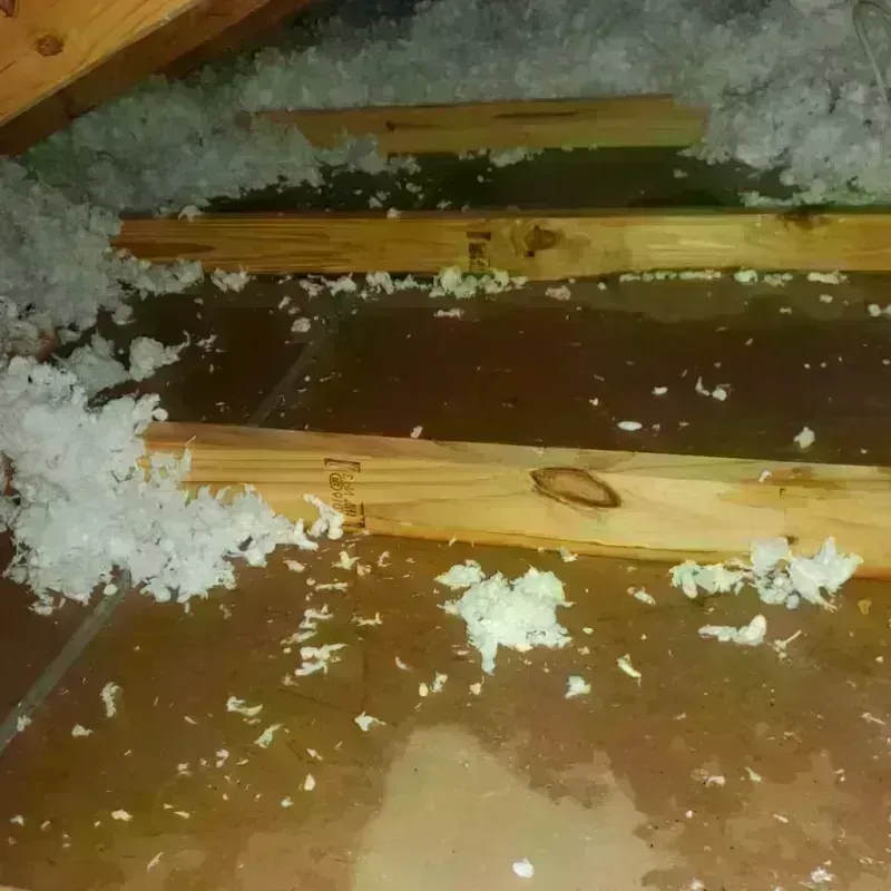 Attic Water Damage in Burke County, ND